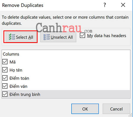 Lọc dữ liệu trùng nhau trong Excel bằng Remove Duplicate hình 4