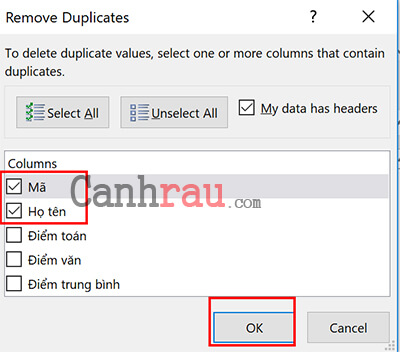 Lọc dữ liệu trùng nhau trong Excel bằng Remove Duplicate hình 5