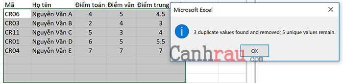 Lọc dữ liệu trùng nhau trong Excel bằng Remove Duplicate hình 6