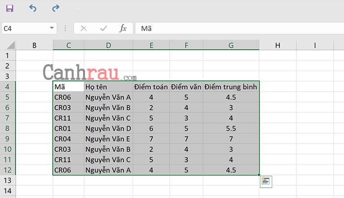 Tìm dữ liệu trùng nhau trong Excel bằng Conditional Formatting hình 1