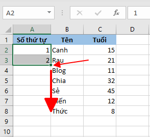Hướng dẫn đánh số thứ tự tự động trong Excel hình 5