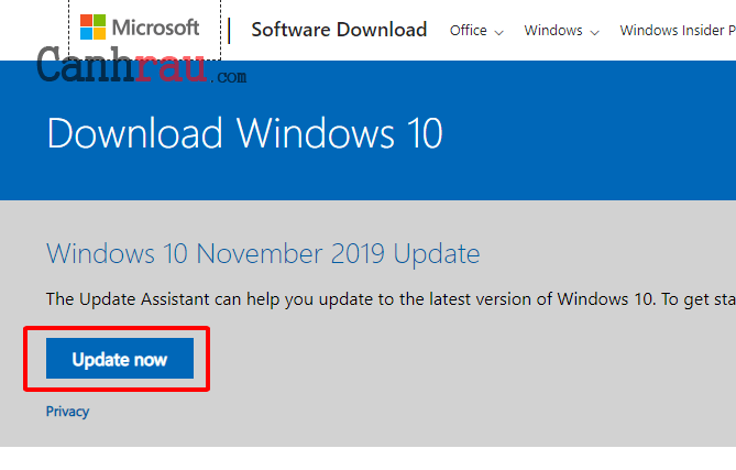 Cách update Windows 10 bằng Windows update assistant hình 1