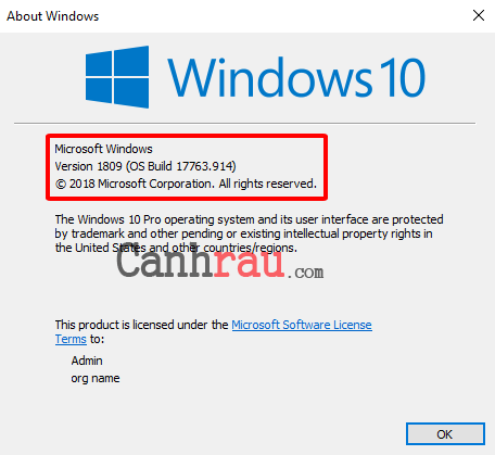 Cách xem phiên bản Windows 10 hiện tại trên máy tính hình 9