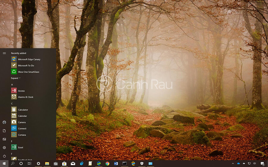 Theme Windows 10 đẹp nhất cho máy tính hình 11