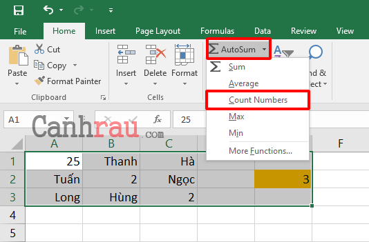 Cách sử dụng hàm đếm COUNT trong Excel hình 2