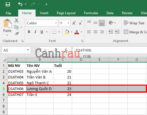 Cách Thêm Dòng, Thêm Hàng Trong Excel | Canhrau.Com