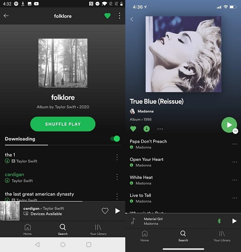 Cách tải nhạc trên Spotify về máy tính và điện thoại hình 3