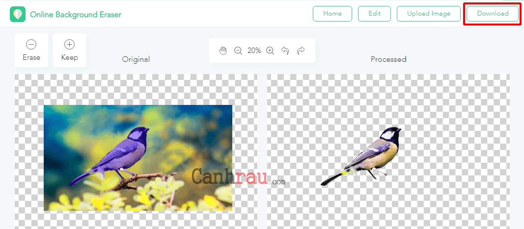 Tách nền trong Photoshop nhanh và đơn giản  Website của Hồ Diệu Hương