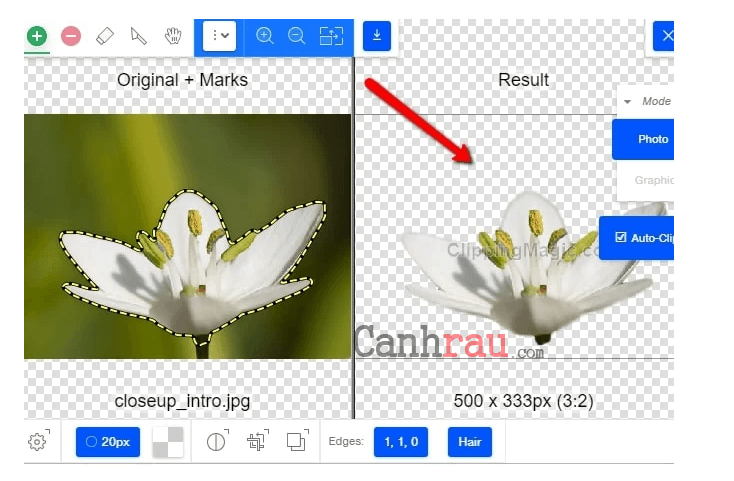 Cách tách nền xóa phông online ảnh hình 9