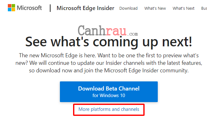 Cách Tải xuống Microsoft Edge Chromium Hình 5