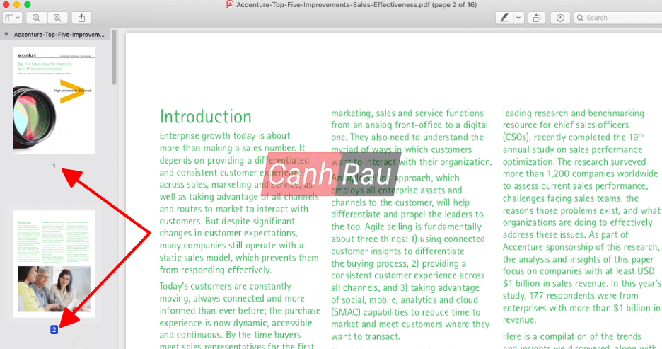 Cách xóa các trang trong PDF Hình 11