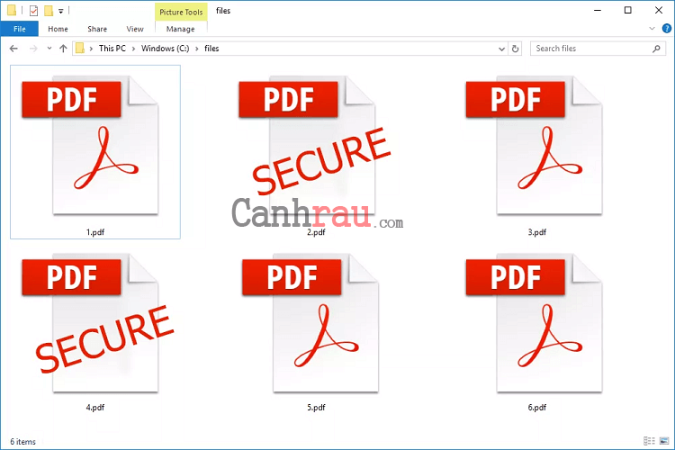 Hình ảnh tệp PDF là gì 1