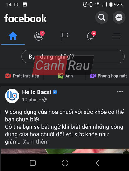 Cách bật chế độ Dark Mode cho Facebook hình 11