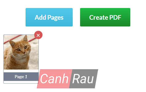 Cách chuyển file ảnh sang PDF hình 8
