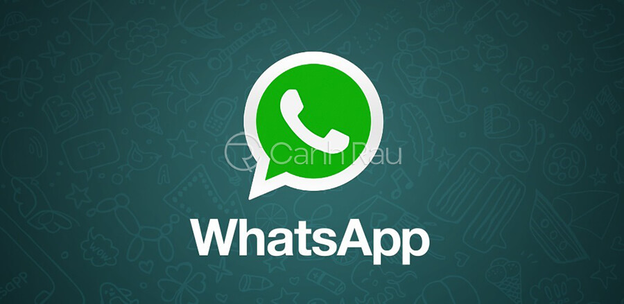 Ứng dụng Whatsapp là gì hình 1