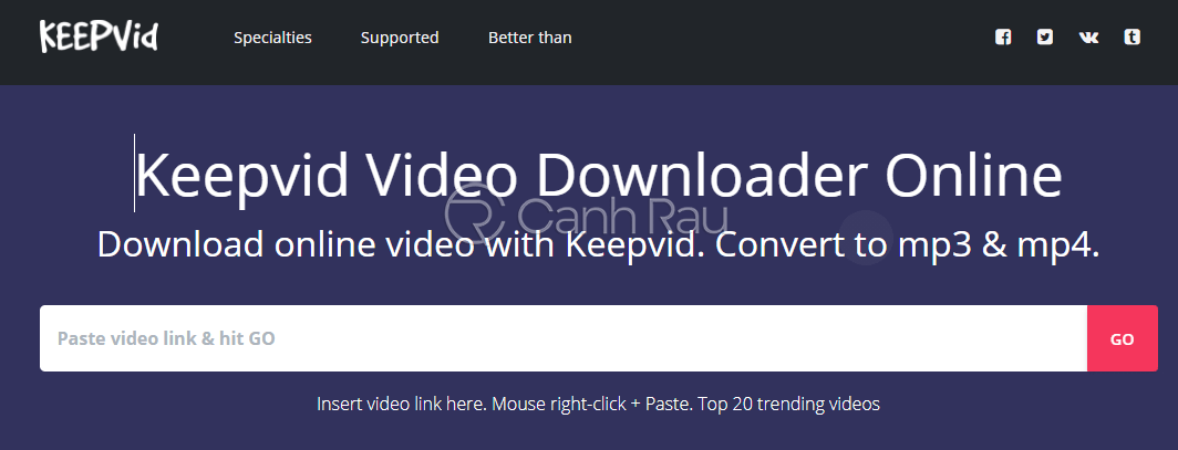 Cách tải video trên trang web bất kỳ về máy tính hình 2