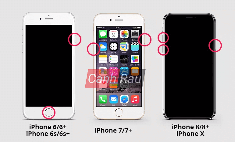 Sửa lỗi iPhone không lên nguồn hình 2