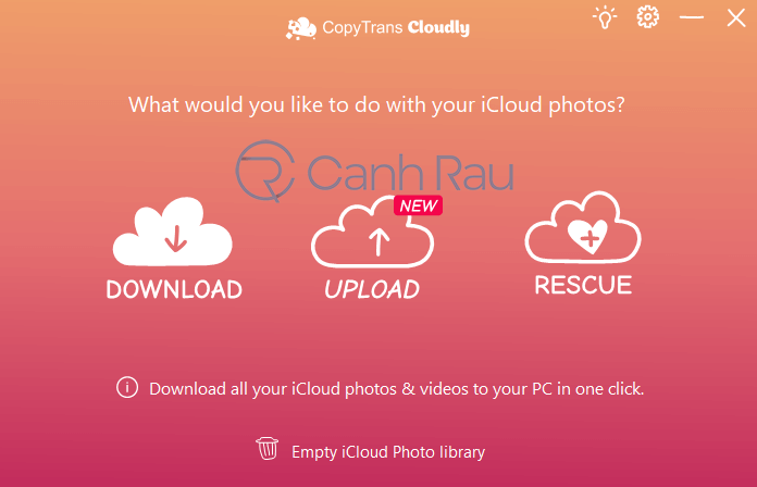 Hãy khám phá cách tải ảnh từ iCloud về máy tính của bạn để lưu trữ những khoảnh khắc đáng nhớ một cách dễ dàng và tiện lợi hơn bao giờ hết.