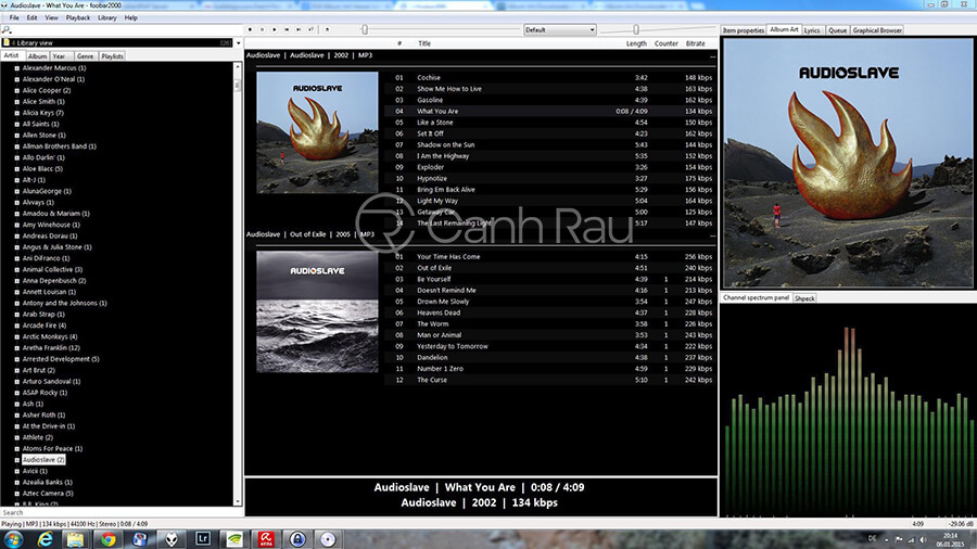 Phần mềm nghe nhạc Lossless hay nhất cho PC hình 1