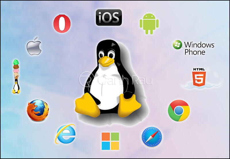 Hệ điều hành Linux là gì Hình 1