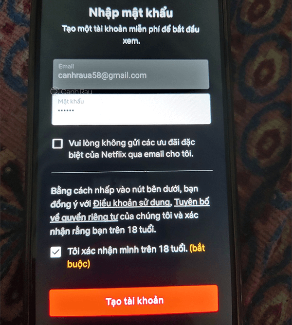 Hướng dẫn cách xem Netflix miễn phí hình 10