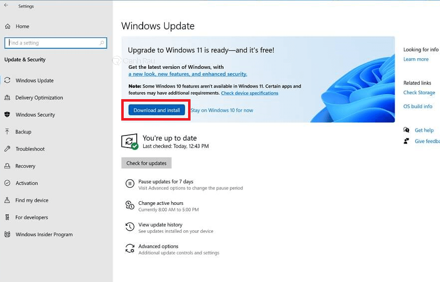 Hướng dẫn cách cập nhật Windows 11 hình 3