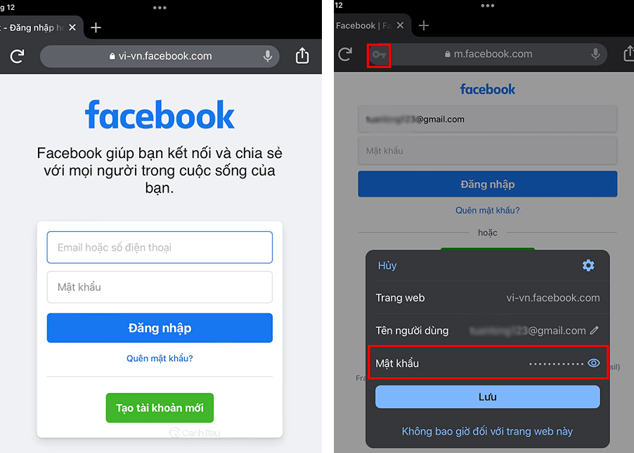 Hướng dẫn cách lưu mật khẩu Facebook trên điện thoại hình 5