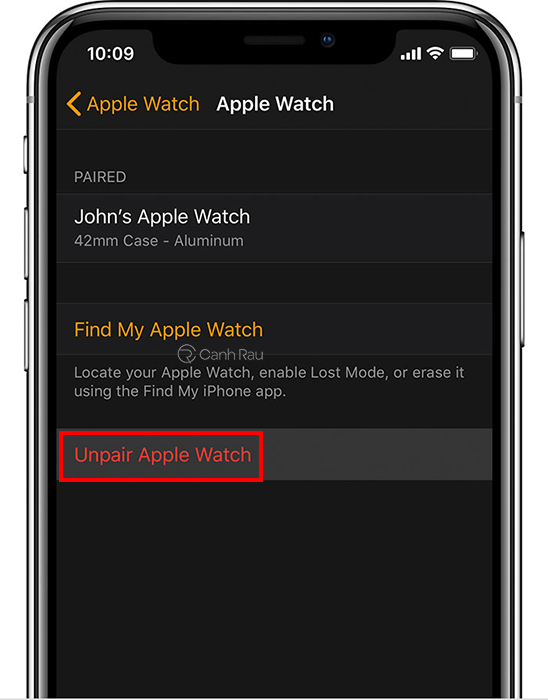 Hướng dẫn kết nối Apple Watch với iPhone hình 11