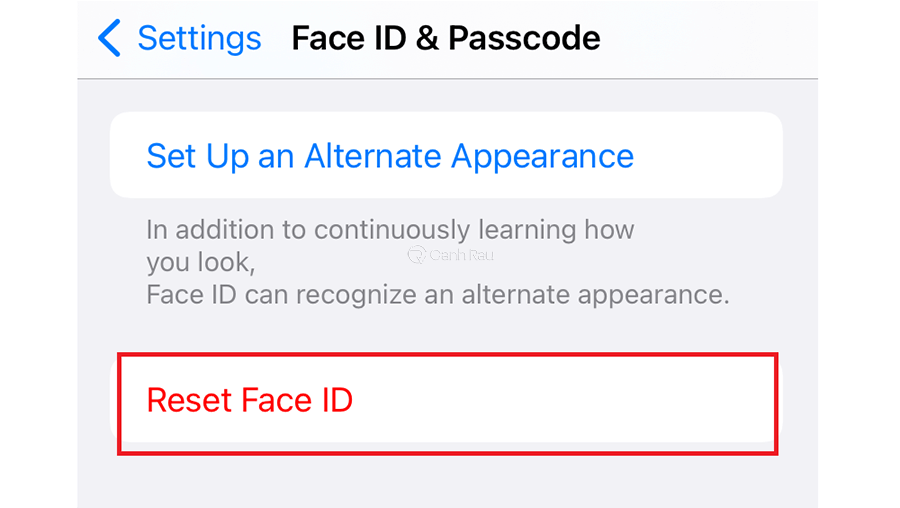 Hướng dẫn sửa lỗi Face ID hình 7